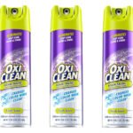 OxiClean Foam-Tastic 19 Oz. (Pack of 3)